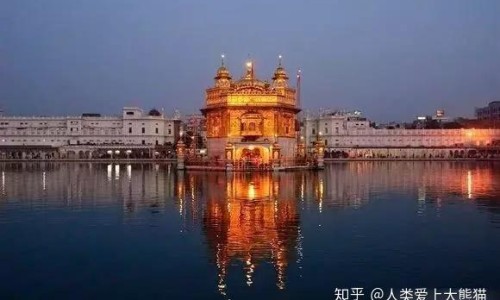 金针菇炒萝卜丝专区_金针菇萝卜鸡蛋汤专区_萝卜和金针菇吃法网